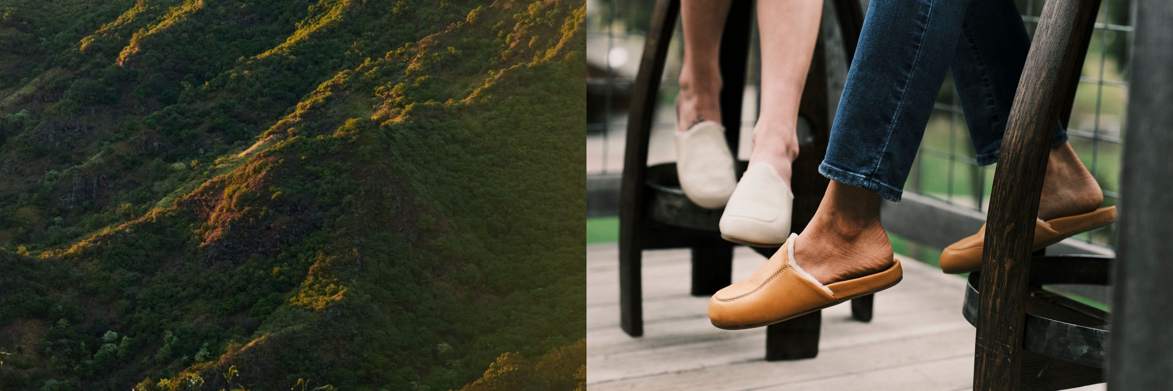 fallback text for an image